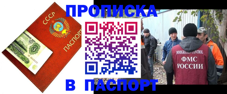 купить прописку в Петропавловске-Камчатском